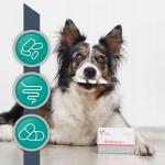 Large Breed Senior Dog Supplement for Vitality