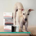 Large Breed Senior Dog Supplement for Vitality