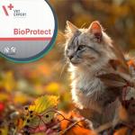 Large Breed Senior Dog Supplement for Vitality