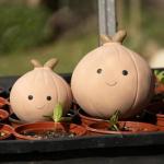 Petface Soft Chew Onion Dog Toy, Small