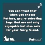 Petface Soft Chew Onion Dog Toy, Small