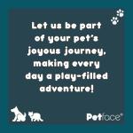 Petface Soft Chew Onion Dog Toy, Small