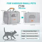 Morpilot Airline Approved Pet Carrier - Light Grey