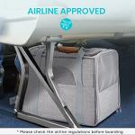 Morpilot Airline Approved Pet Carrier - Light Grey