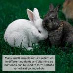 Premium Mixed Food for Rats and Mice 500g