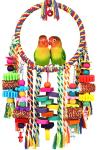Bird Toy Swing with Chewing Blocks and Ring