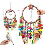 Bird Toy Swing with Chewing Blocks and Ring