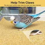 Bird Cage Sand Sheets 120-Pack for Easy Cleaning