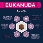 Eukanuba Dry Dog Food for Small Breed Puppies