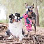 KONG Floppy Knots Hippo for Medium/Large Dogs