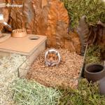 Niteangel Natural Coco Bedding for Small Pets