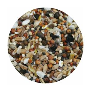 Premium Pigeon Conditioning Seed with Aniseed Oil