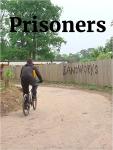 Cat Toy: Fun Prisoners Playset