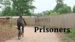 Cat Toy: Fun Prisoners Playset