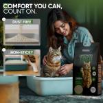 Unscented Eco-Friendly Tofu Cat Litter 10L