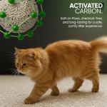 Unscented Eco-Friendly Tofu Cat Litter 10L