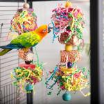 Dual Bird Toy Set - Corn Cob & Bell