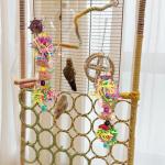 Dual Bird Toy Set - Corn Cob & Bell