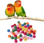 Colorful Wooden Parrot Bite Beads for Pets