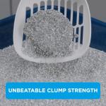 Ever Clean Extra Strong Clumping Cat Litter 10L
