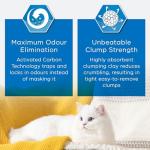 Ever Clean Extra Strong Clumping Cat Litter 10L