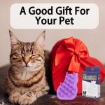 Soft Rubber Cat Massage Brush & Grooming Comb