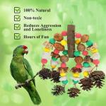 Bird Toys for Large Parrots and Macaws
