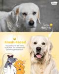 Pet Eye Comb - Tear Stain Remover for Dogs & Cats