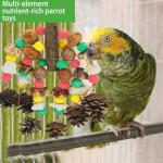 Bird Toys for Large Parrots and Macaws