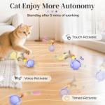 Interactive Cat Toys with Automatic Chirping Tail