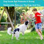 Lopetible Interactive Dog Football Toy - Durable Water Ball