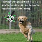 Lopetible Interactive Dog Football Toy - Durable Water Ball