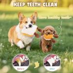 Interactive Plush Dog Toy Set - Squeaky & Fun