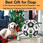 Lopetible Interactive Dog Football Toy - Durable Water Ball
