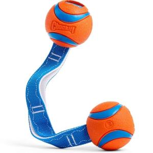 Chuckit! Ultra Tug Duo Dog Toy for Dogs