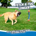 Chuckit! Ultra Tug Duo Dog Toy for Dogs