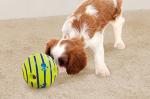 Wobble Wag Giggle Dog Toy Ball