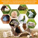 Hamster Chew Toys Set for Small Animals