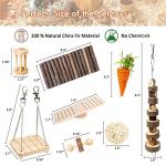 Hamster Chew Toys Set for Small Animals