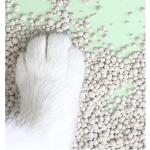 Natural Super Clumping Cat Litter - 20L