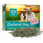 Orchard Grass Hay for Small Pets, 10lb