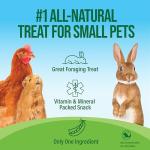 Natural Pea Flakes for Small Pets 16oz
