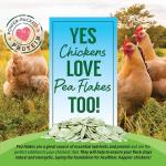 Natural Pea Flakes for Small Pets 16oz