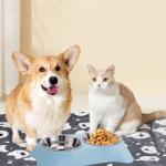 Non-Slip Stainless Steel Double Dog Bowl Set