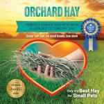 Orchard Grass Hay for Small Pets, 10lb