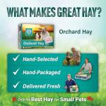 Orchard Grass Hay for Small Pets, 10lb