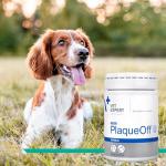 Kalmvet Stress Relief Supplement for Dogs and Cats