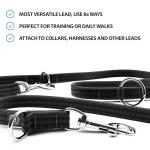 BullyBillows Double-Ended Dog Training Lead