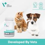 Kalmvet Stress Relief Supplement for Dogs and Cats