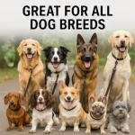 BullyBillows Double-Ended Dog Training Lead